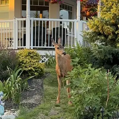 SHARED Lakeview Peaceful 2BR Stay in Beautiful Kelowna