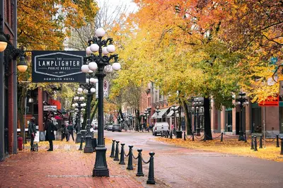 a street light on a city street with trees at Modern Downtown Stay! in Vancouver