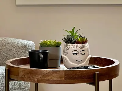 a coffee table with two pots of plants on it at Stunning View New Townhome Sleeps 11 AC and Hot Tub in Canmore