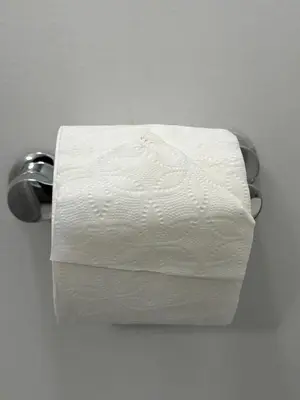 a roll of white toilet paper on a holder at Zillion’s Joy in Calgary