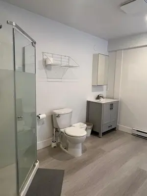 a bathroom with a toilet and a sink and a shower at Angie house in Nanaimo