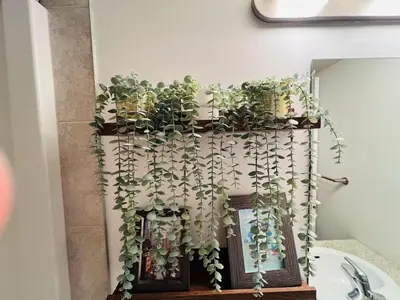 a bunch of plants on a shelf in a bathroom at Mordern 2BedRoom Downtown Apt with Free Parking & Wifi in Edmonton