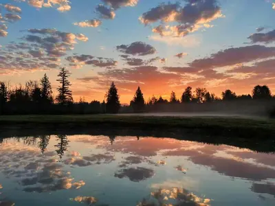 a sunset over a field with a reflection in a pond at Sunshine garden 3 bedrooms2 bathrooms1 living room1 kitchen in Aldergrove