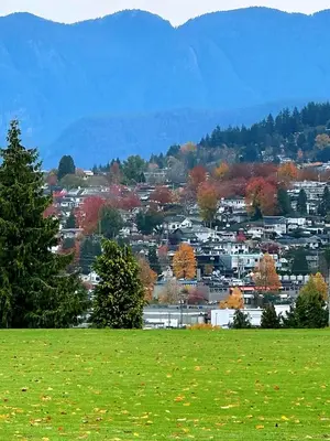 a view of a town with trees in a field at Roger & May's Cabin in Vancouver