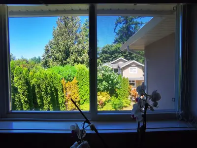 a window with a view of a yard at Eagle's House, Room #2 in Victoria