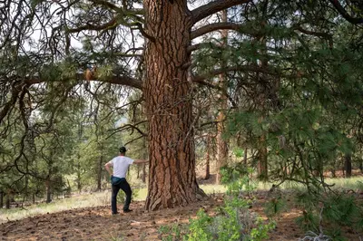 a man standing next to a large tree at Mountain Springs Nature Retreat in Kaleden
