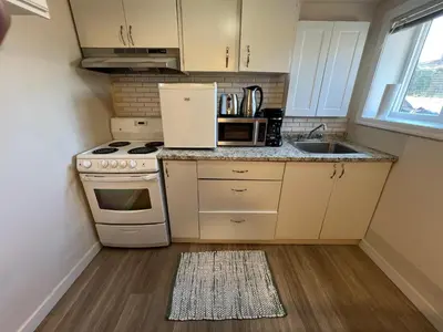 a small kitchen with a stove and a sink at Nanaimo Nest in Nanaimo