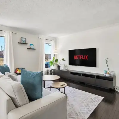 Cozy Modern Pet Friendly Homes