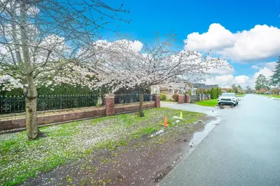 a car parked on the side of a street with flowering trees at Guest suite in Richmond in Richmond