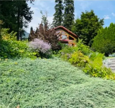 a house in the middle of a grassy field at Custom Built Home on the Beach in Nelson