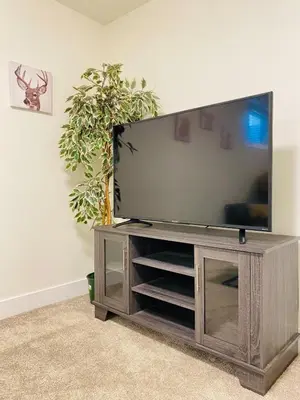 a flat screen tv sitting on top of a wooden entertainment center at Modern Cozy Entire Guest Suite in Central Edmonton in Edmonton