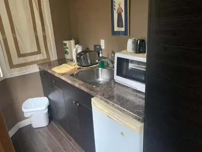 a kitchen with a sink and a microwave at Quiet Backyard Cabin in North Vancouver