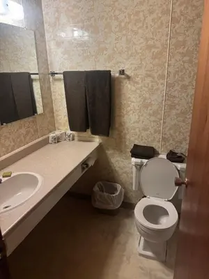 a bathroom with a toilet and a sink and a mirror at Big Horn motor Inn in Grande Cache