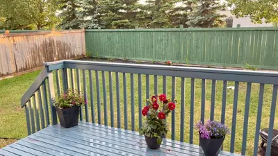 three potted flowers on a wooden deck with a fence at Lucas in Edmonton