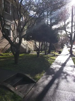 a house with trees on the side of a street at One Bedroom Suite in perfect location Vancouvers Mount Pleasant in Vancouver