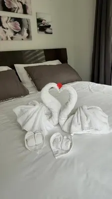 two swans made out of towels on a bed at Carrie's The Gentle Nest No 2 in Coquitlam