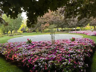a garden with pink and purple flowers in a park at Cozy Dreamscape in Surrey