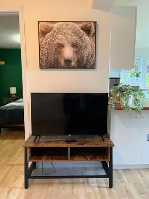 a television on a stand with a picture of a bear at Lake View Suite, Forest Retreat, Balfour BC in Balfour