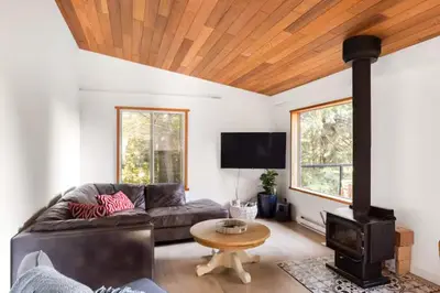 a living room with a couch and a stove at Ocean Vista In the Woods on Saltspring Island in Salt Spring Island