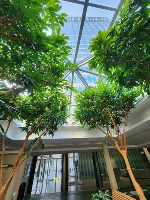 a building with trees in front of a glass ceiling at Cozy Condo in the heart of the city in Vancouver