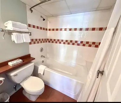 a bathroom with a white toilet and a bath tub at Cascade Lodge Studio-steps from village in Whistler
