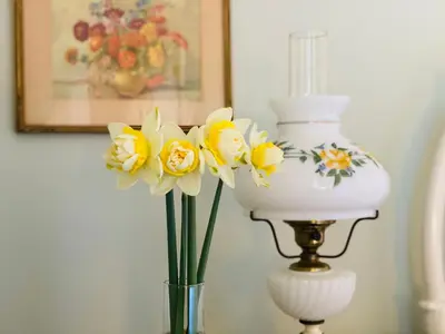 a vase filled with yellow flowers next to a lamp at Princess and the Pea Hotel in Langley
