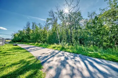 a dirt road with trees and the sun in the sky at KimzNest in Edmonton