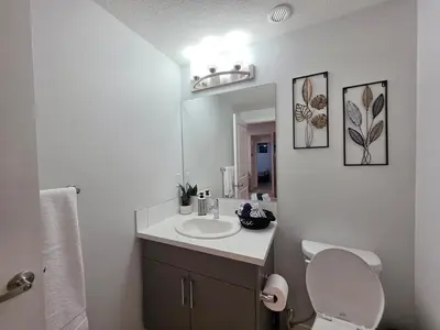 a bathroom with a sink and a toilet and a mirror at Amaville - Two BRM Suite in West Edmonton in Edmonton