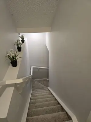 a staircase with two potted plants on the wall at Beautiful Basement Suite in Stillwater, West Edmonton in Edmonton