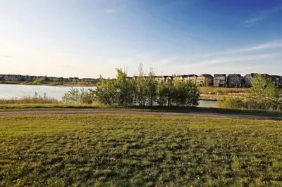 a grassy field next to a river with houses at Mahogany Lakefront 2BR Walkout Trails And Privacy in Calgary
