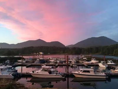a group of boats docked in a marina at sunset at Island West Resort-Motel in Ucluelet