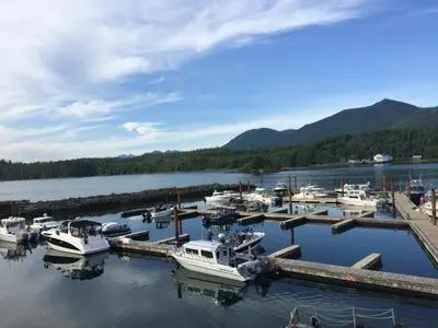 a group of boats docked at a dock in the water at Island West Resort-Motel in Ucluelet