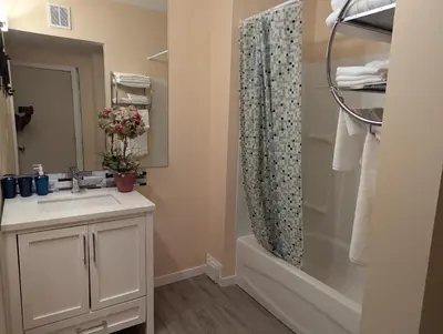 a bathroom with a sink and a shower at 347 Des Meurons Street Unit A and Unit B in Bélanger