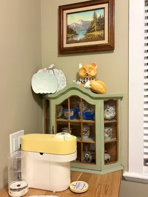 a green cabinet with a stuffed animal on top of it at A Room of One's Own-A perfect getaway by the sea in North Nanaimo in Nanaimo