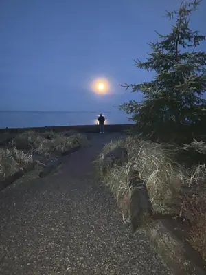 a person standing on a beach with the moon in the sky at Saratoga beach cabin with hot tub in Oyster Bay