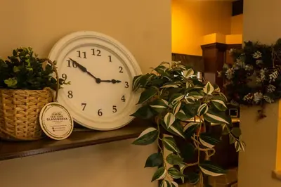 a clock sitting on a shelf next to a plant at Mi Light House \u7c73\u62c9 in Yellowknife