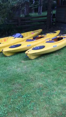 a row of yellow kayaks sitting on the grass at The Wood Shed with hot tub in Oyster Bay