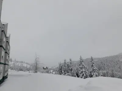 a snow covered hill with trees and a building at Drive Up Condo - Walk to Mount Washington in Mount Washington