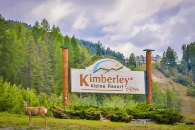 a deer standing next to a sign in a field at Rocky Mountain Condos by StayIn in Kimberley
