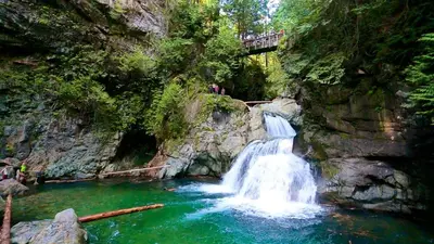 a waterfall in a river with a bridge over it at Modern 2Bed Suite Near Capilano Bridge & Trails in North Vancouver