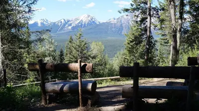 a view of mountains from a forest with logs at Mountain View Cabins in Golden