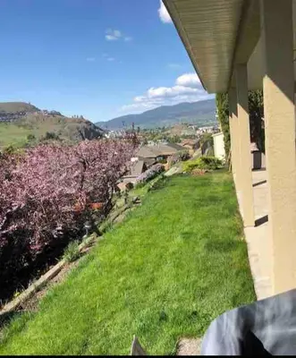 a view of a yard with a green lawn at 20 KLM from SilverStar with private Hot Tub in Vernon