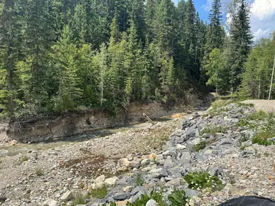 a river in the middle of a forest at Mountaineer Creekside Cabin - Private Hot Tub in Golden