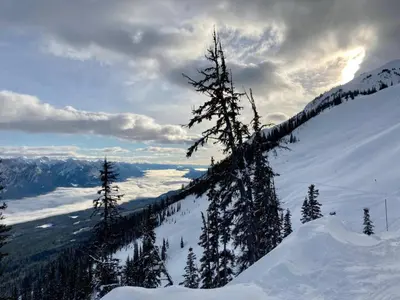 a view of a snow covered mountain with trees on it at Explorer Creekside Cabin - Private Hot Tub in Golden