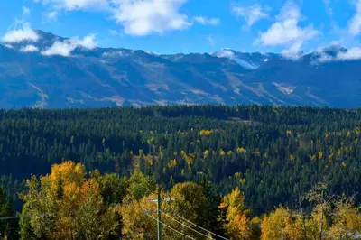 a view of a forest with mountains in the background at Golden Moments in Golden