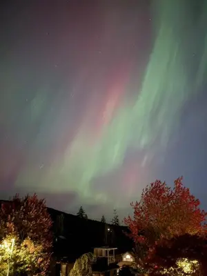 an aurora in the sky at night with trees at Warm house1 in Coquitlam