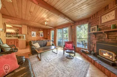 a living room with a couch and a fireplace at Pet-Friendly Original Ski Cabin by StayIn in Panorama