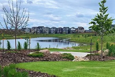 a pond in a yard with houses in the background at Cozy Suite near West Edmonton Mall & River Cree Casino in Edmonton