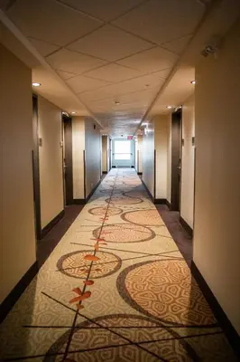 a hallway of a hotel with a carpet on the floor at Hotel 11, MOD A Sonesta Collection in Calgary
