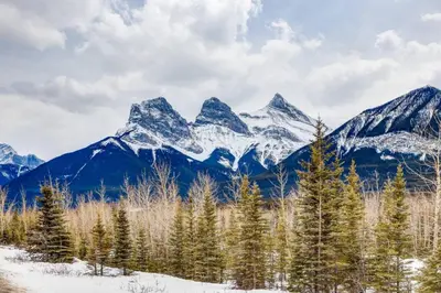 a snow covered mountain range with trees in the foreground at Cozy Mountain View Condo Close to DT Canmore in Canmore